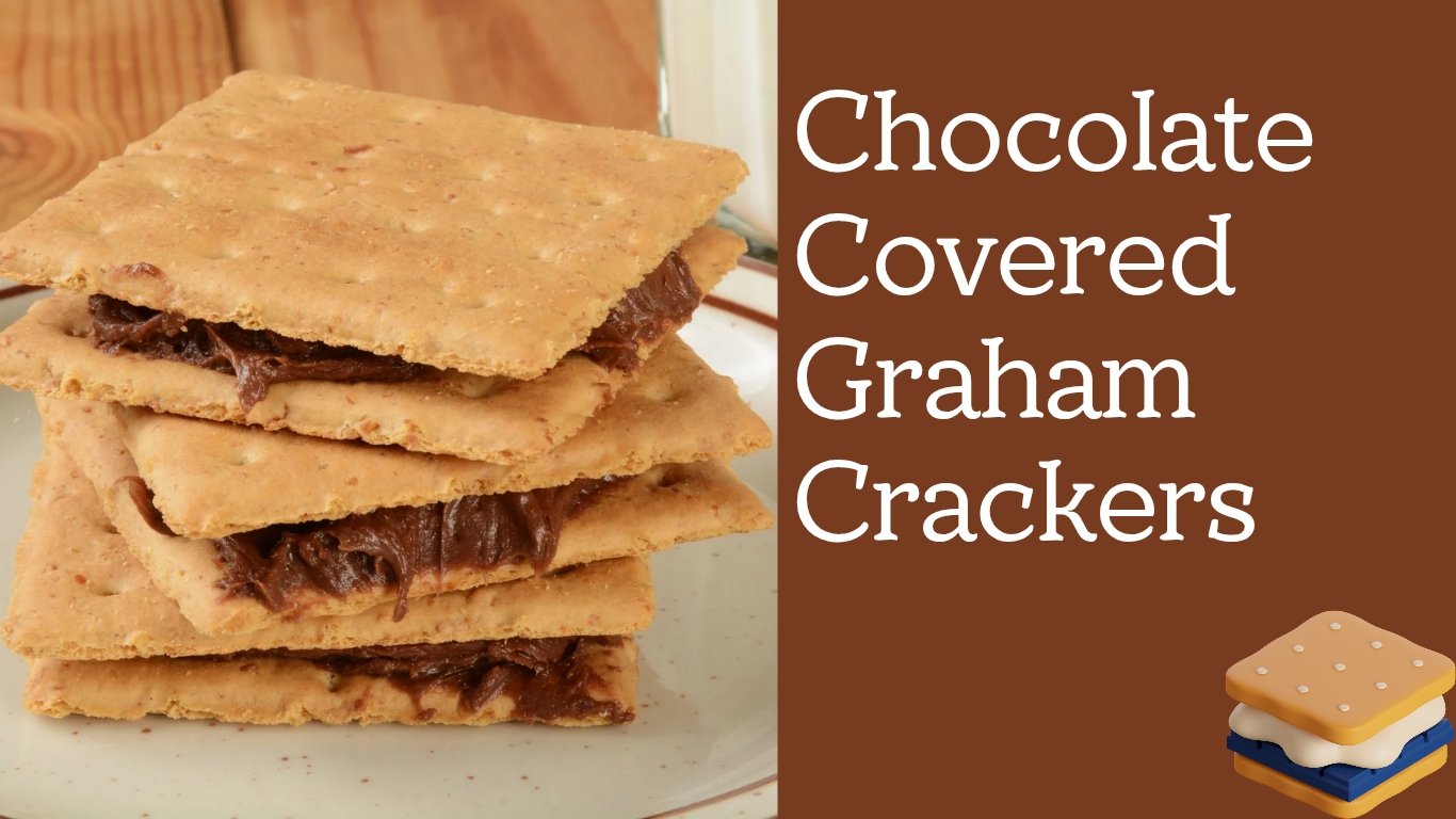 Chocolate Covered Graham Crackers