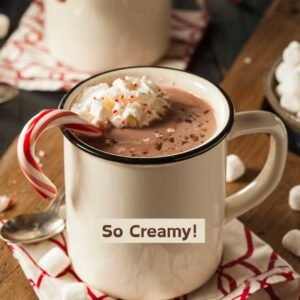 Williams Sonoma hot chocolate recipe step by step