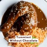 Easy & Authentic Spicy Chicken Mole Recipe without Chocolate (Mole Rojo Style)