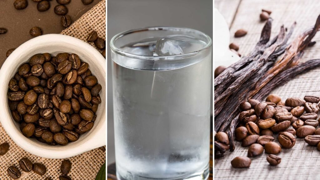 Chameleon Cold Brew Ingredients