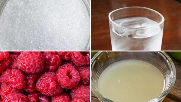 Blue Raspberry Syrup Recipe – Explosive Flavor & Electric-Blue Color ...
