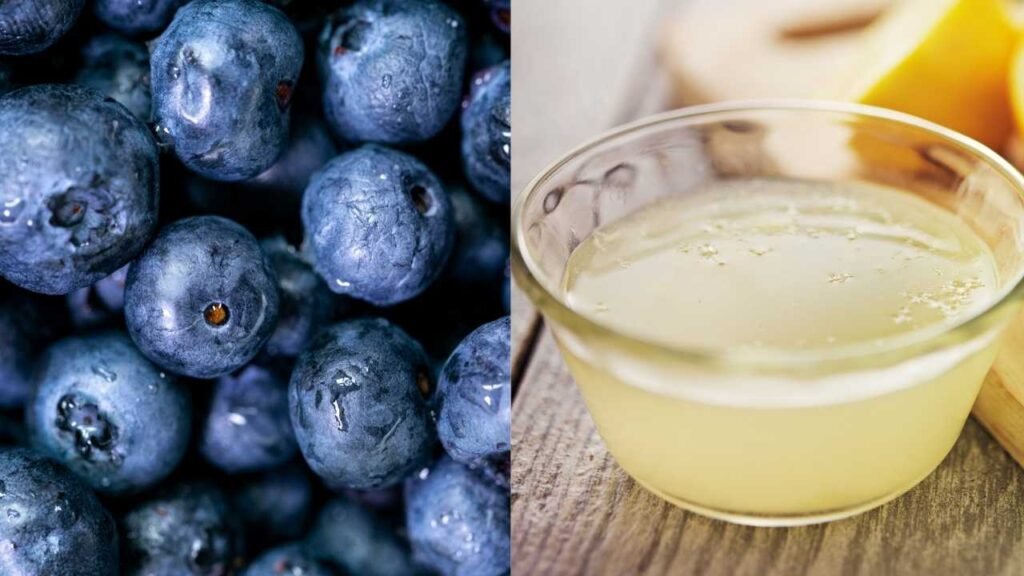 Ocean Spray Blueberry Lemonade Ingredients