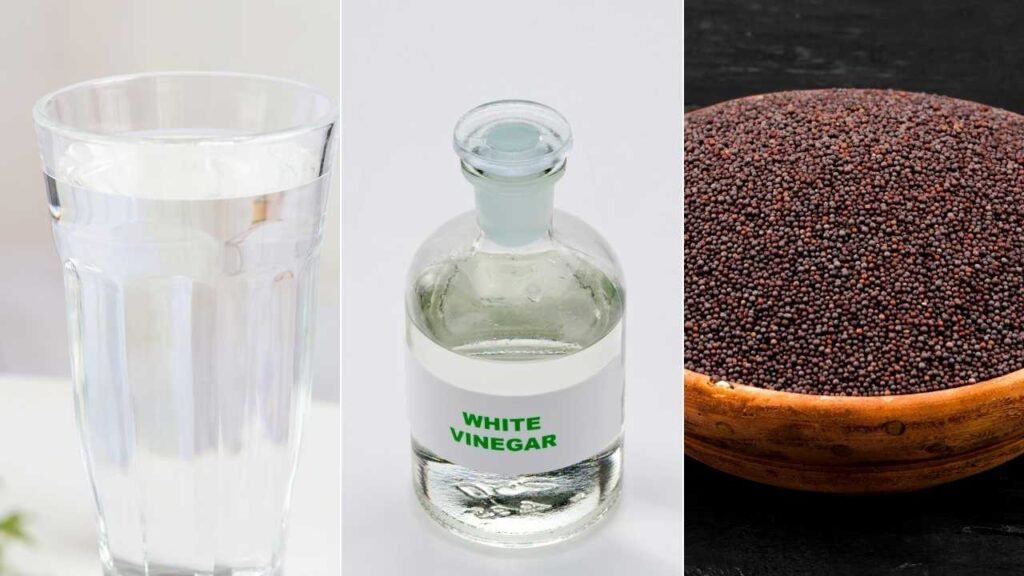 Dill Pickle Juice Ingredients 