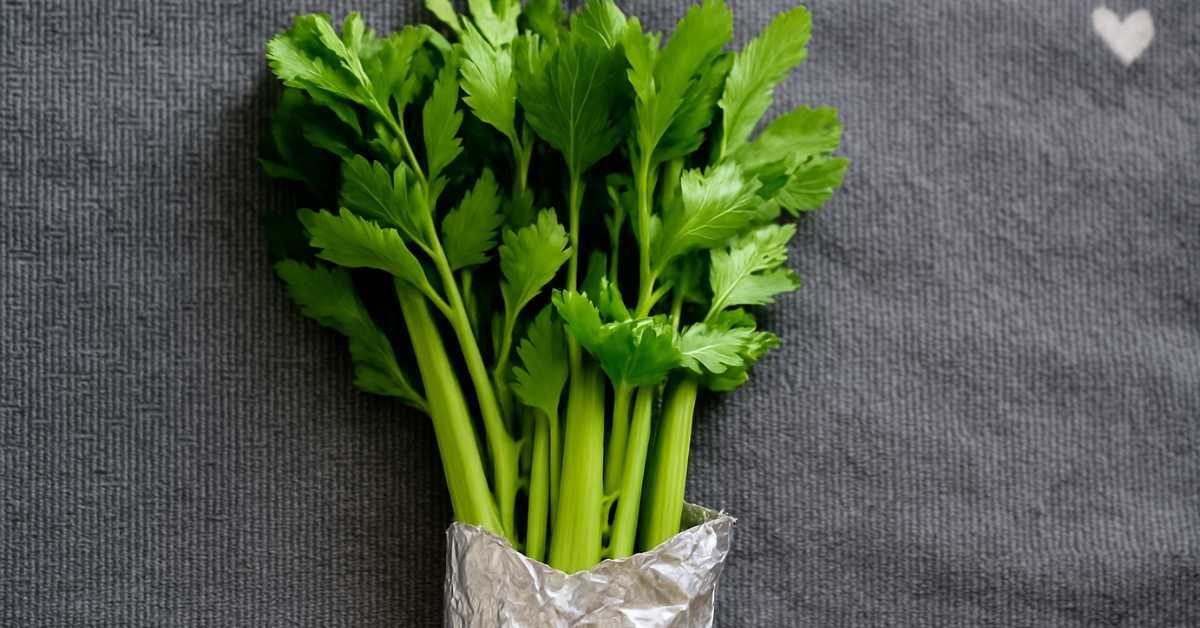 Helpful Habits I Follow to Keep Celery Crisp in the Fridge