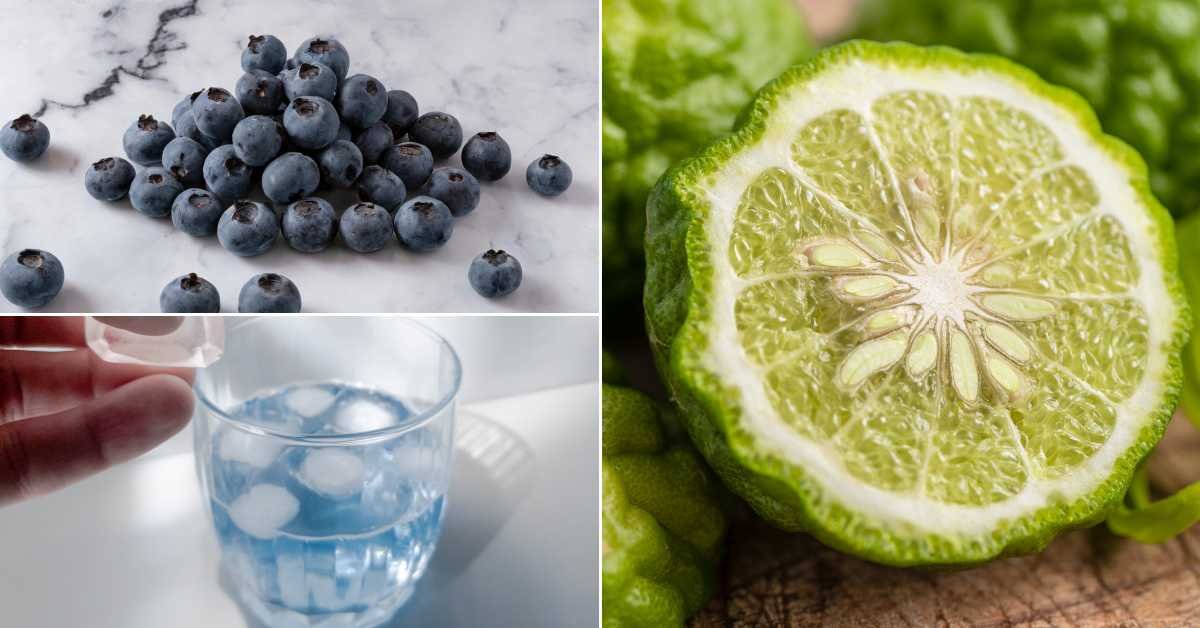 Sprite Chill Blueberry Lime Ingredients