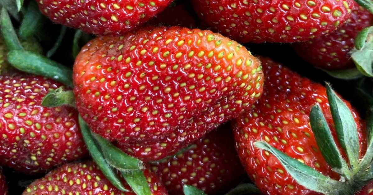 Freeze Extra Berries Before They Go Bad